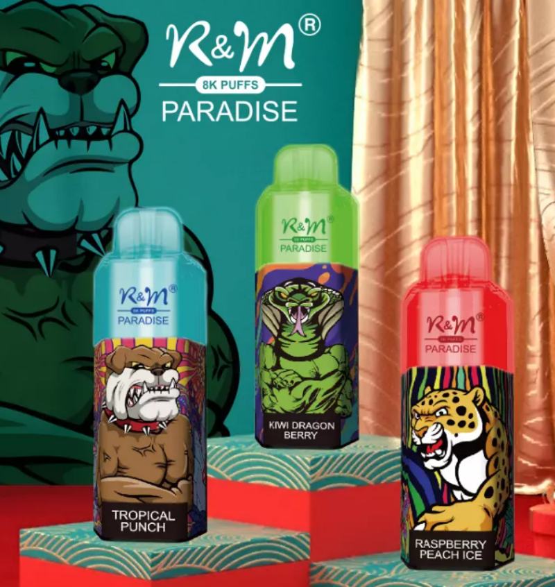RM PARADISE 8000puffs