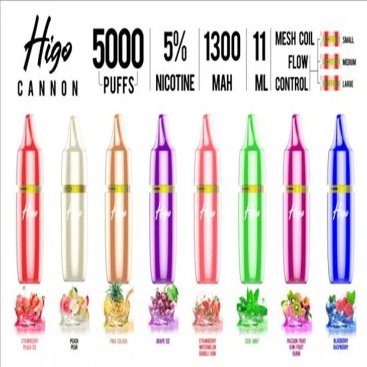 Higo Cannon 5000 Rookwolken Vape Shop