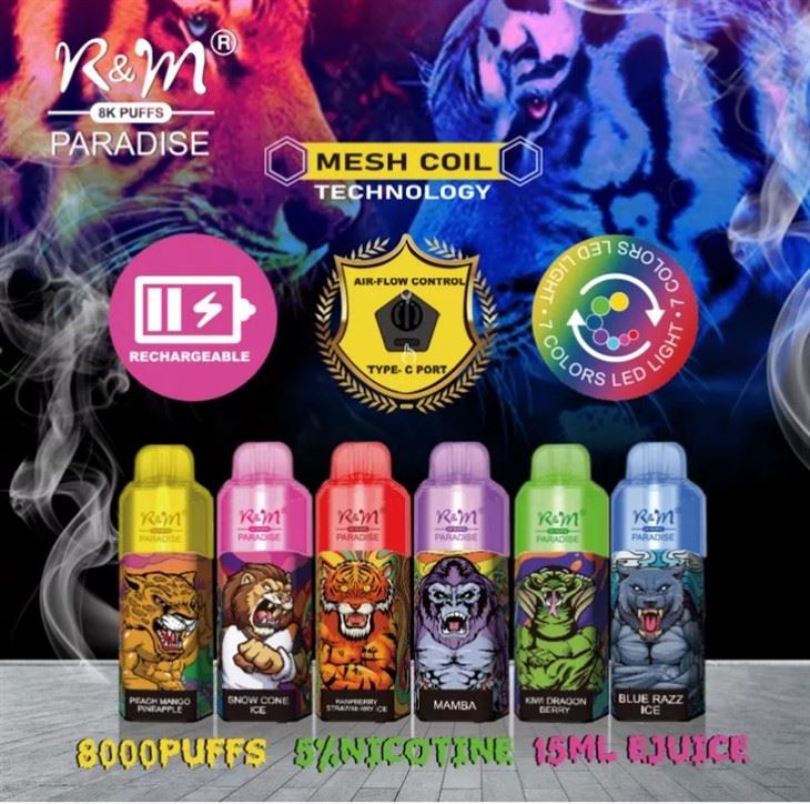 R&M PARADIJS 8000 PUFFS
