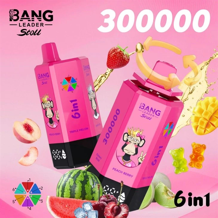 BANG LEIDER 300K PUFFS VAPE
