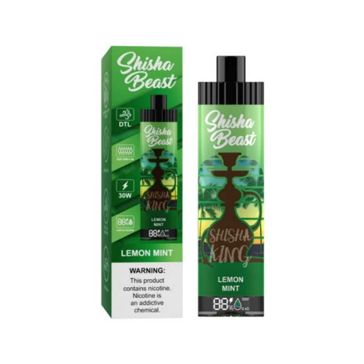 R&M ShiSha Beast 20000 trekjes