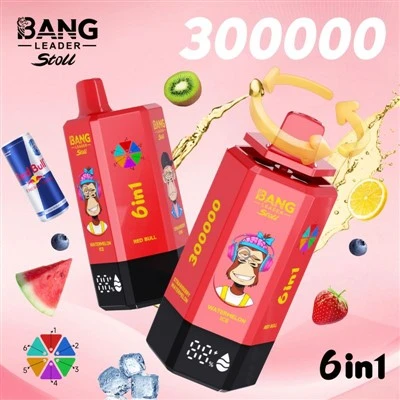 BANG LEIDER 300K