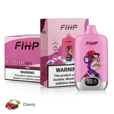 FIHP Digitale Box 12000