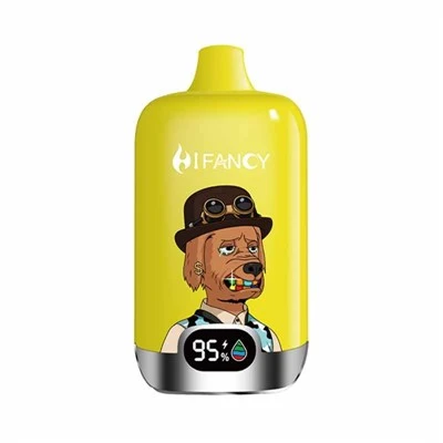 HIFANCY DIGITALE DOOS 16000