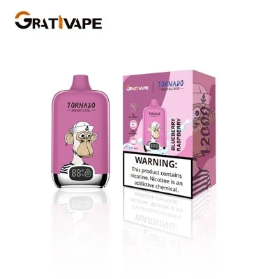 RahdM TORNADO 12000 RandM digitale box 12000