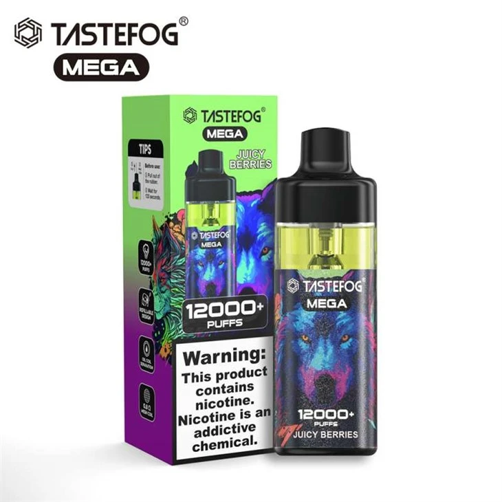 TASTEFOG MEGA 12K Rookwolken