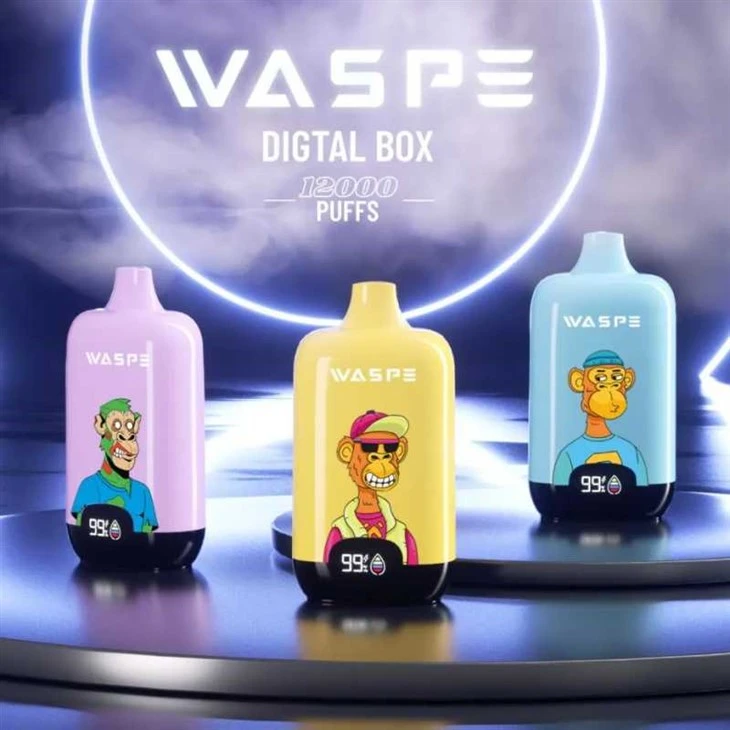 WASPE Digitale Box 12000